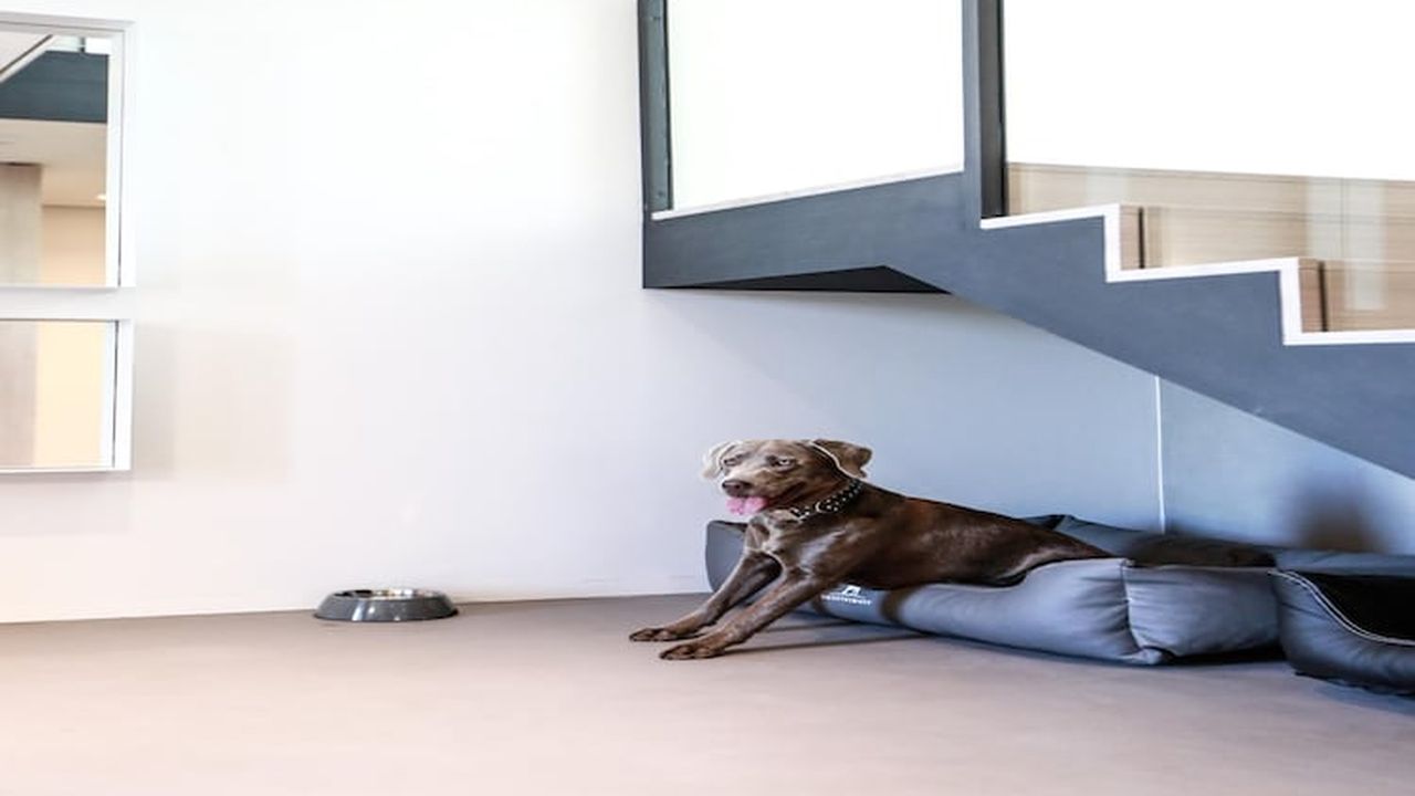 LivingRoom LivingRoom